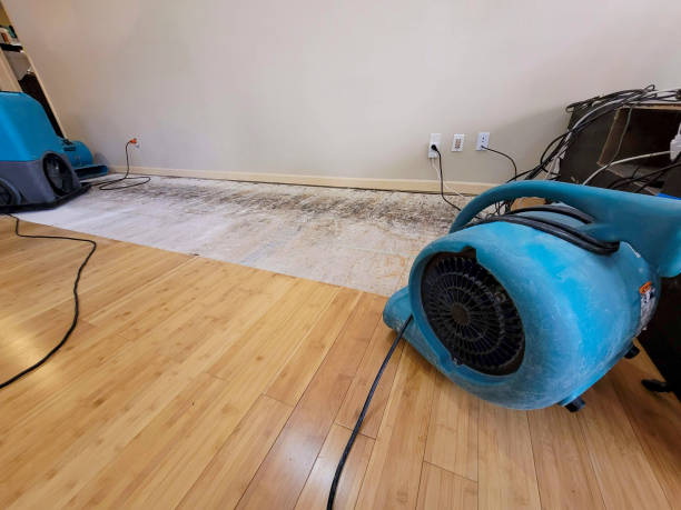 Professional Basement Flood Cleanup technician working in Edwards, CA
